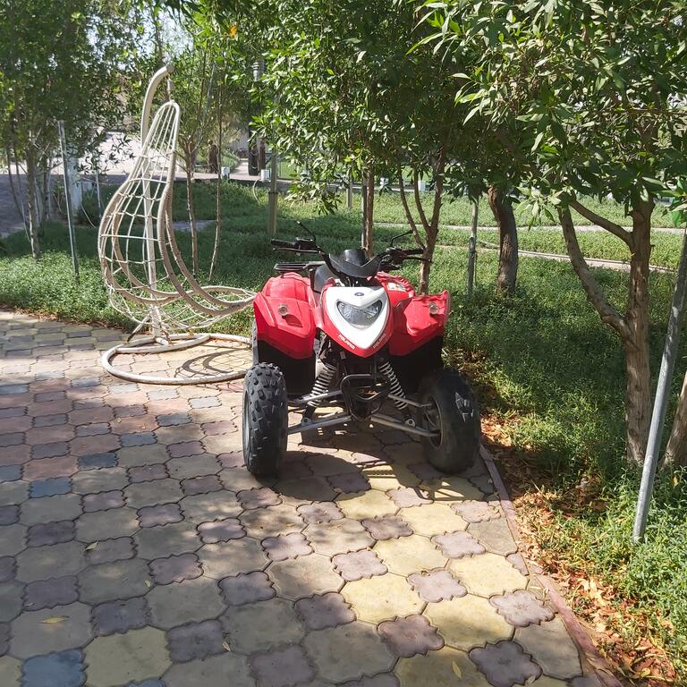 Al Maha Farm - thumb 3