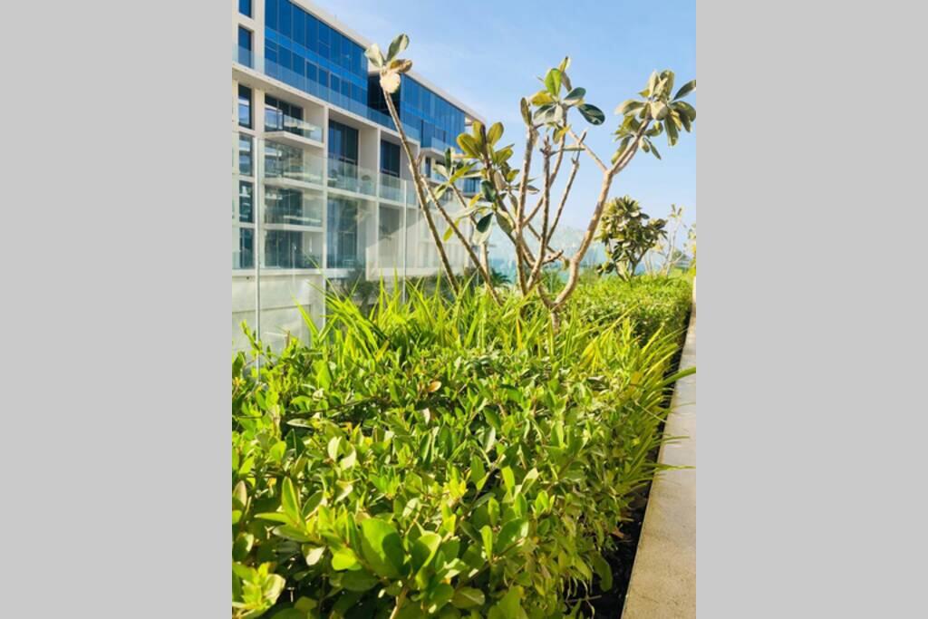 Apartment Saadiyat Island Abu Dhabi - thumb 7