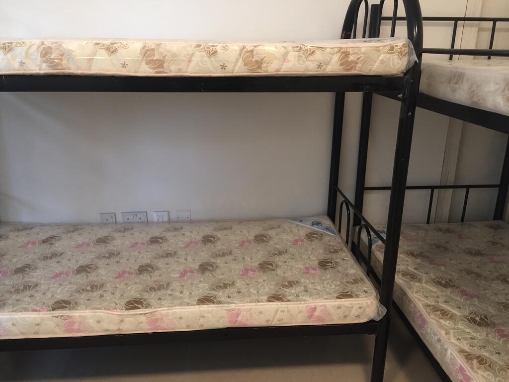 Bed In Dormitory - thumb 5
