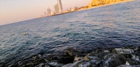 Delightful Retreat With Pool Close To The Beach Accommodation Abudhabi