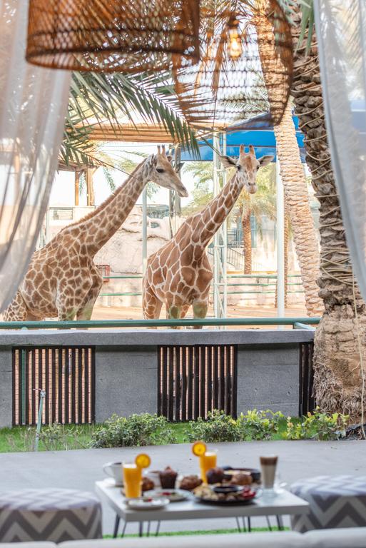 Emirates Park Resort - thumb 5