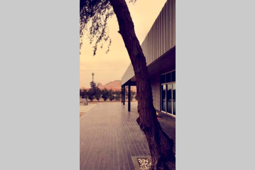 Farm Stay Insta: @mzra3tna - thumb 6