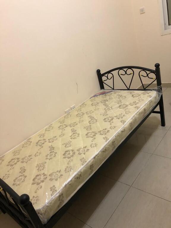 Females City Tower Bur Dubai - thumb 5