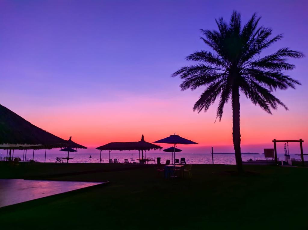 Flamingo Beach Hotel - thumb 6