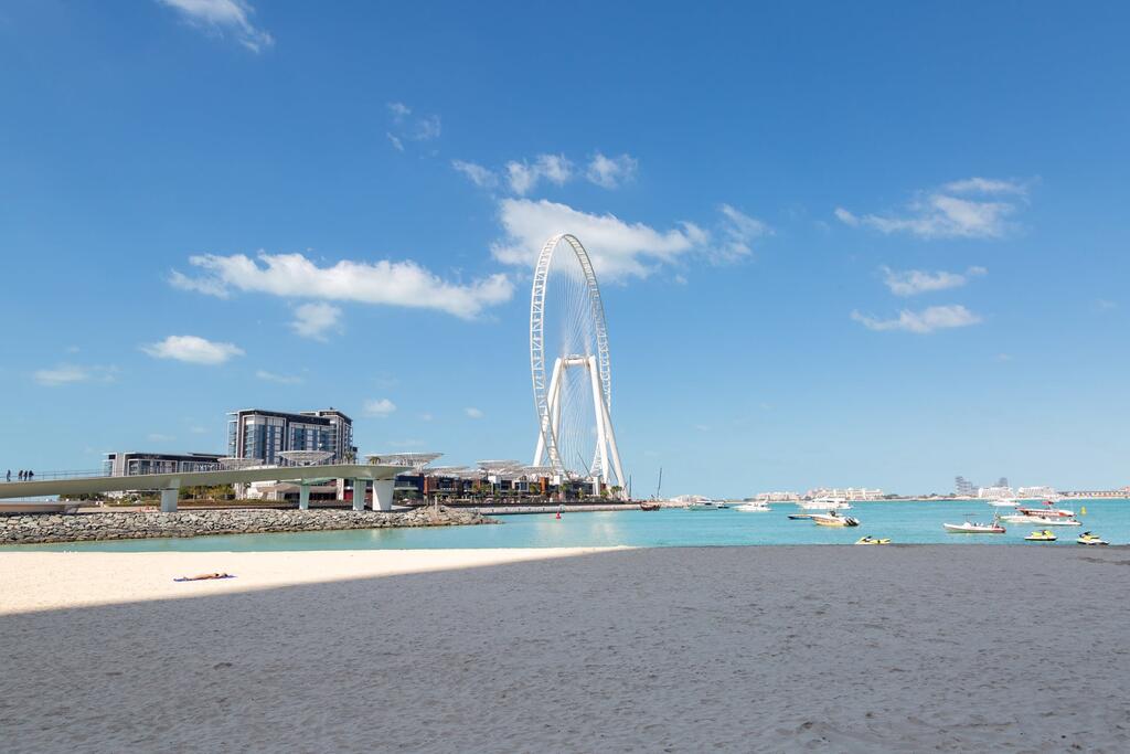 Frank Porter - Bay Central - thumb 4