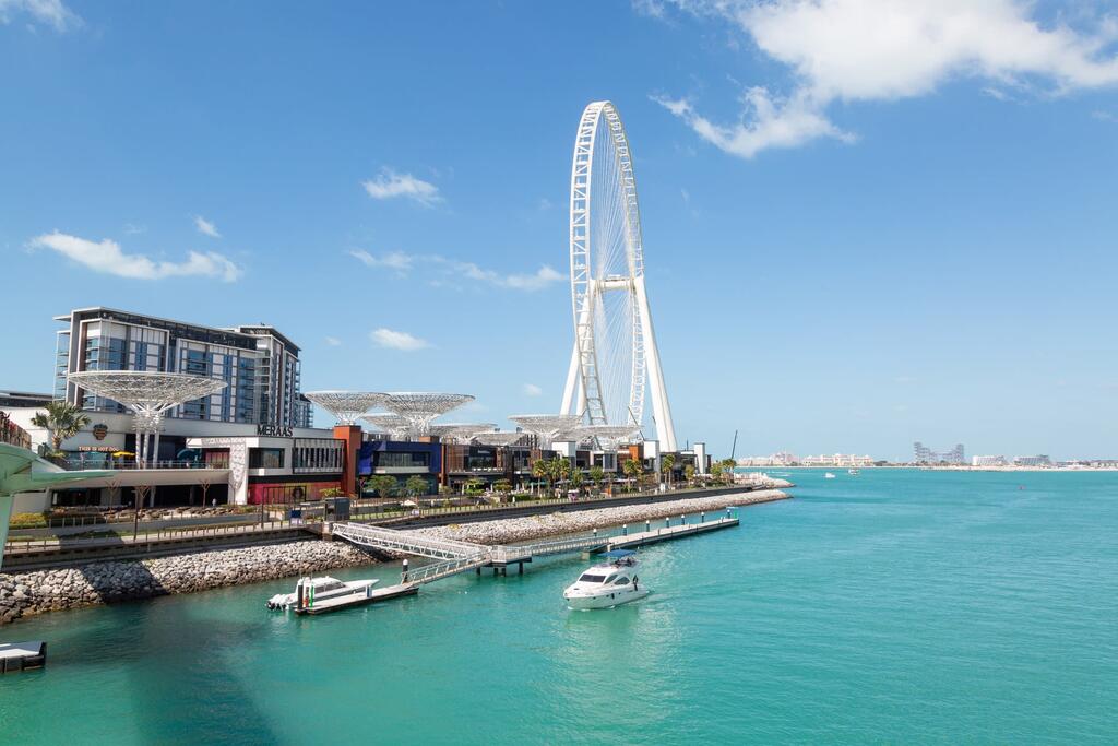 Frank Porter - Bay Central - thumb 5