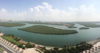 Mangrove Hotel Accommodation Abudhabi