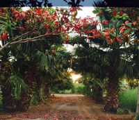 Revaloo farm Family Only Accommodation Abudhabi