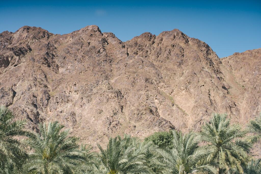 Sandy Beach Hotel & Resort - thumb 6