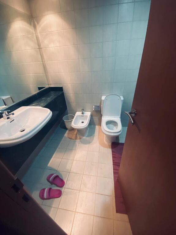 Sheikh Zeid St Dubai - thumb 6