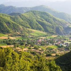 Elbasan County Accommodation Abudhabi