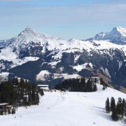 Skicircus Saalbach Hinterglemm Leogang Fieberbrunn Accommodation Abudhabi