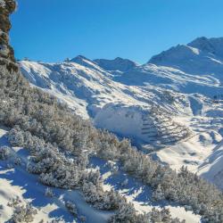 St. Anton Accommodation Abudhabi