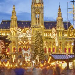 Vienna Christmas Market, Vienna Accommodation Abudhabi