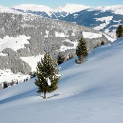 Zillertal Accommodation Abudhabi