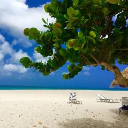 Palm-Eagle Beach Accommodation Abudhabi