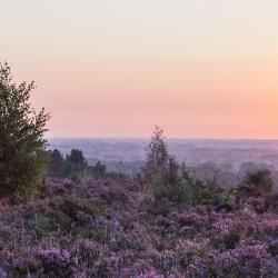 De Kempen Accommodation Abudhabi