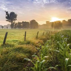 East-Flanders Accommodation Abudhabi