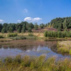 Hoge Kempen Accommodation Abudhabi