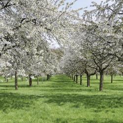 Limburg Accommodation Abudhabi