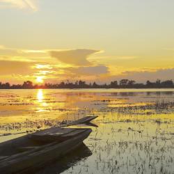 Pantanal Accommodation Abudhabi