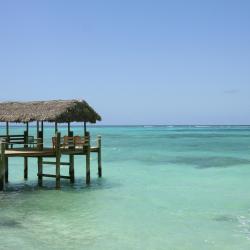 New Providence Accommodation Abudhabi