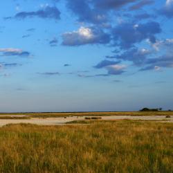 Nata Accommodation Abudhabi