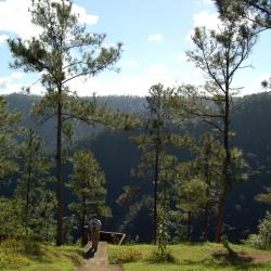 Cayo Accommodation Abudhabi