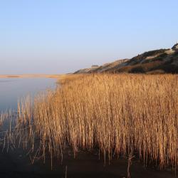 Ringkøbing Fjord Accommodation Abudhabi