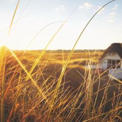 Vestjylland Accommodation Abudhabi