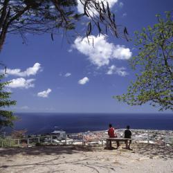 Roseau Accommodation Abudhabi