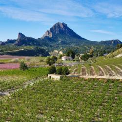 Murcia Accommodation Abudhabi