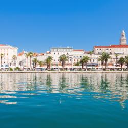 Split Accommodation Abudhabi