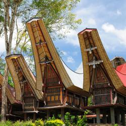 Sulawesi Accommodation Abudhabi