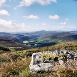 Leinster Accommodation Abudhabi