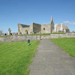 Offaly Accommodation Abudhabi