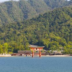 Aichi Accommodation Abudhabi