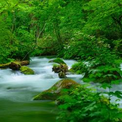 Aomori Accommodation Abudhabi