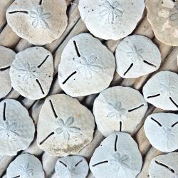 Kilifi Accommodation Abudhabi