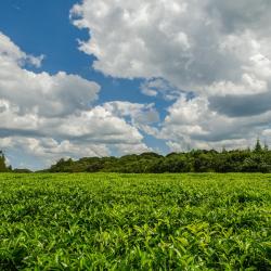 Kisumu Accommodation Abudhabi