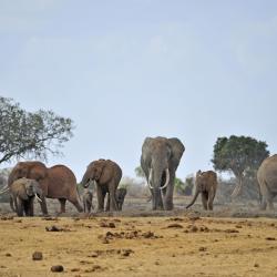 Makueni Accommodation Abudhabi