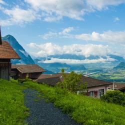 Triesenberg Accommodation Abudhabi