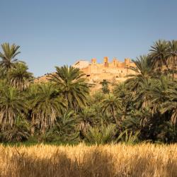 Guelmim Accommodation Abudhabi