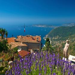 Exotic Garden of Monaco, Monte Carlo Accommodation Abudhabi