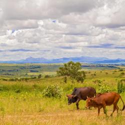 Lilongwe City Accommodation Abudhabi