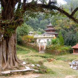 Bandipur Accommodation Abudhabi