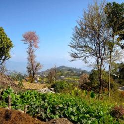 Dhulikhel Accommodation Abudhabi