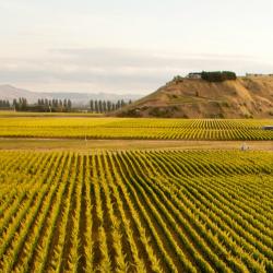 Hawke's Bay Accommodation Abudhabi