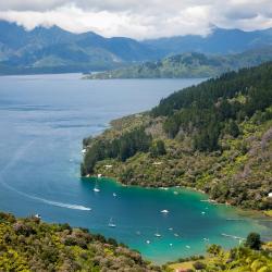 Marlborough Sounds Accommodation Abudhabi