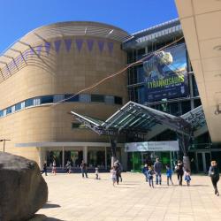 Te Papa Museum, Wellington Accommodation Abudhabi